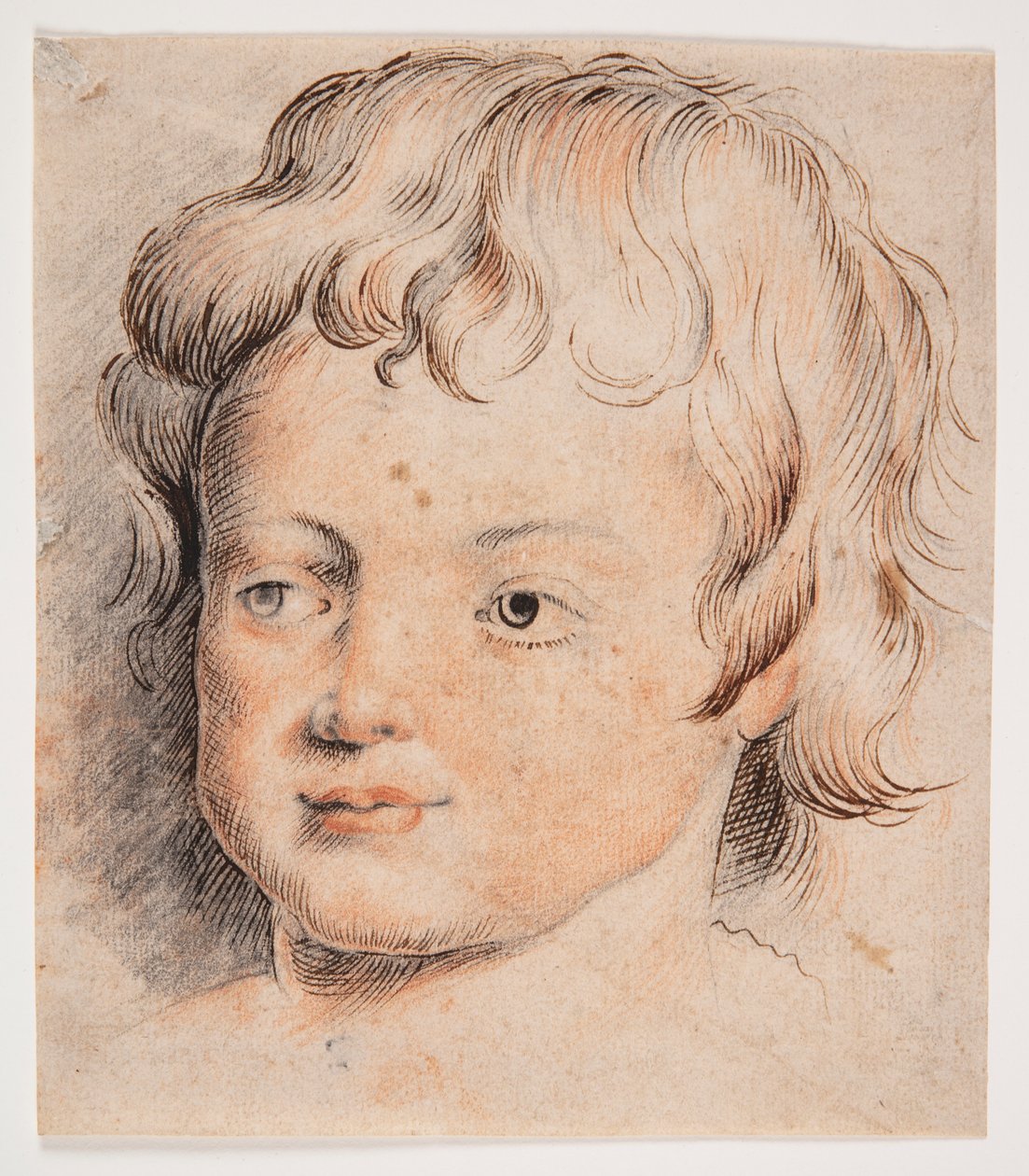 Kinderkopf von Peter Paul Rubens