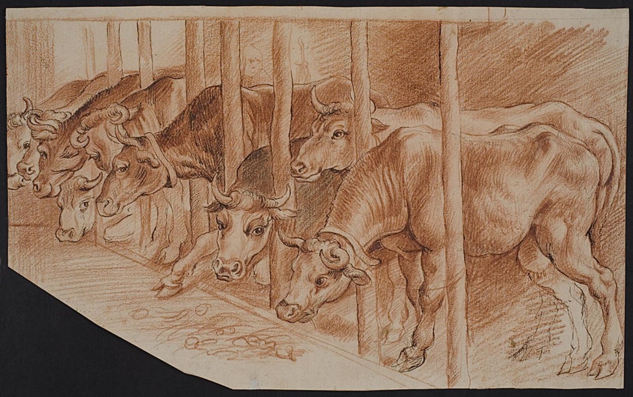 Kühe aus "Der Winter" von Peter Paul Rubens