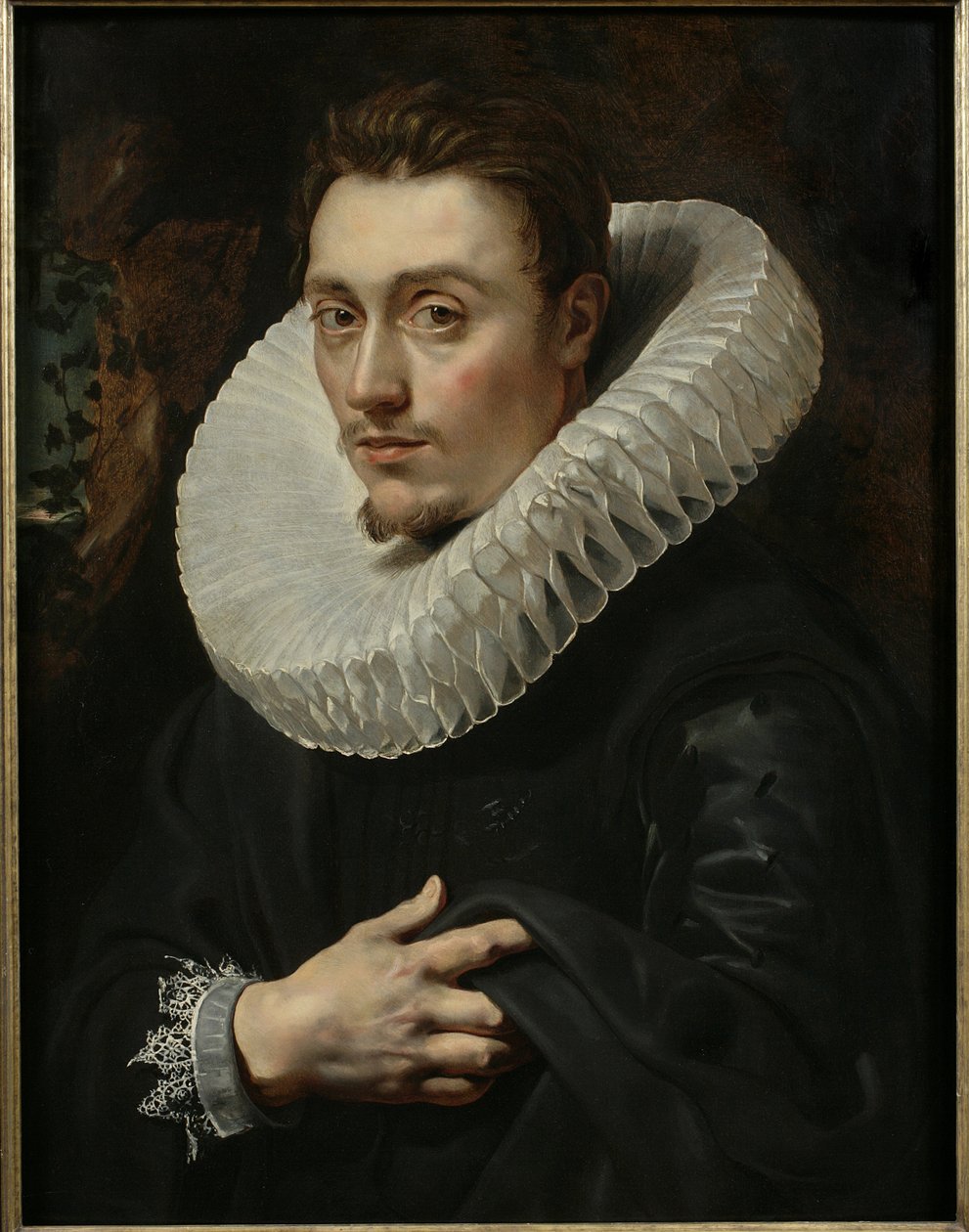 Porträt eines jungen Mannes von Peter Paul Rubens