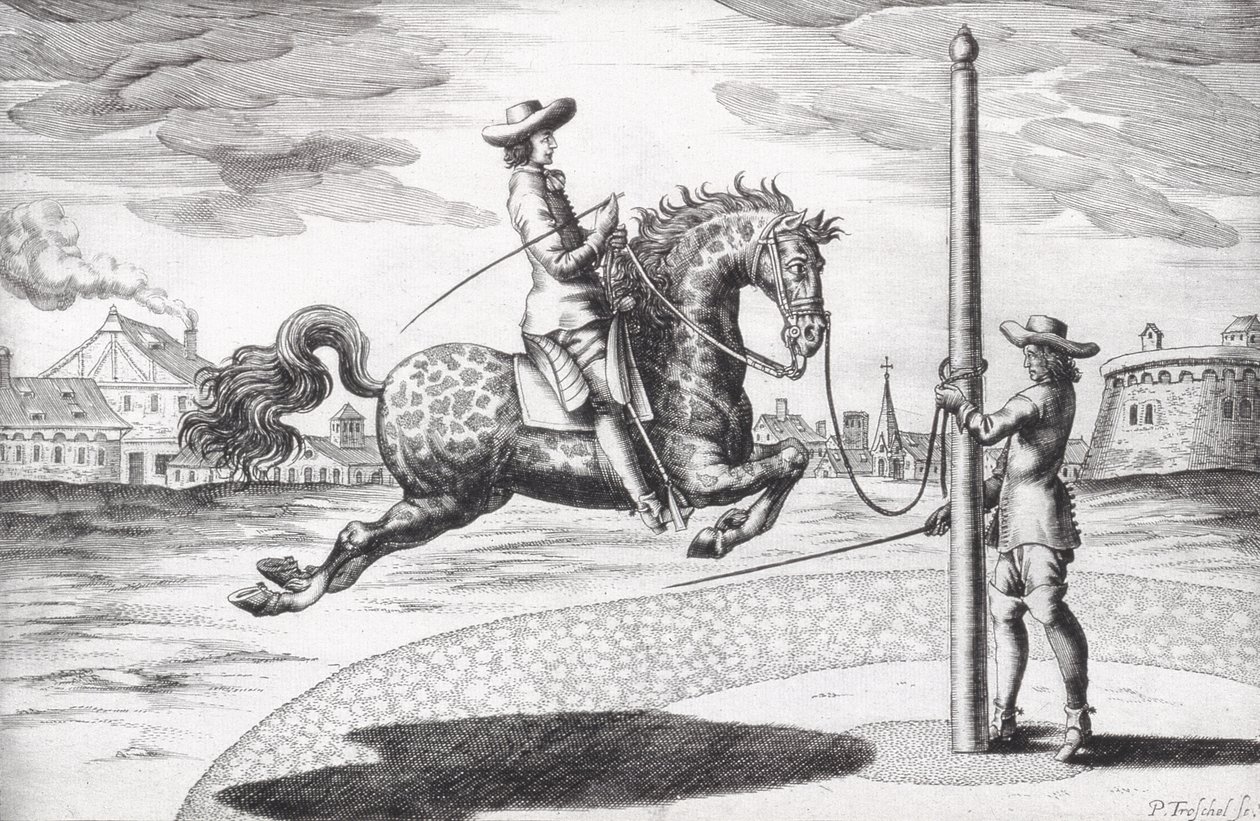 Ein Pferd en Capriole aus Neuem Traktat zur Pferdezucht, geschrieben von Winters, Stuterey und Reit-Schul, 1672 von Peter Paul Troschel