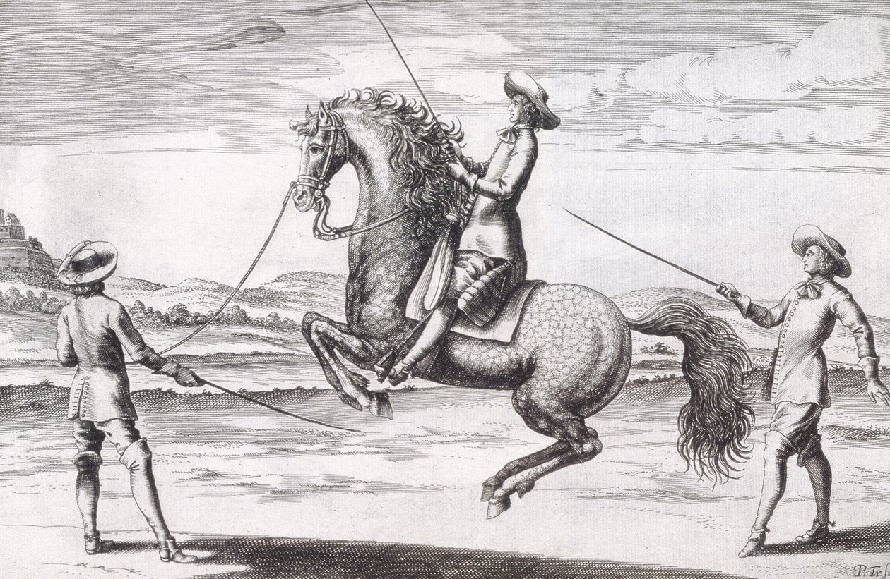 Illustration eines Pferdes en Croupade aus Neuem Traktat zur Pferdezucht geschrieben von Winters, Stuterey und Reit-Schul, veröffentlicht 1672 von Peter Paul Troschel