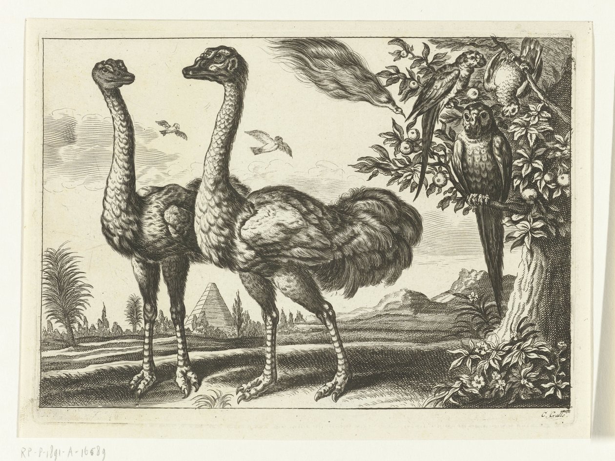 Zwei Strauße von Peter van Liesebetten