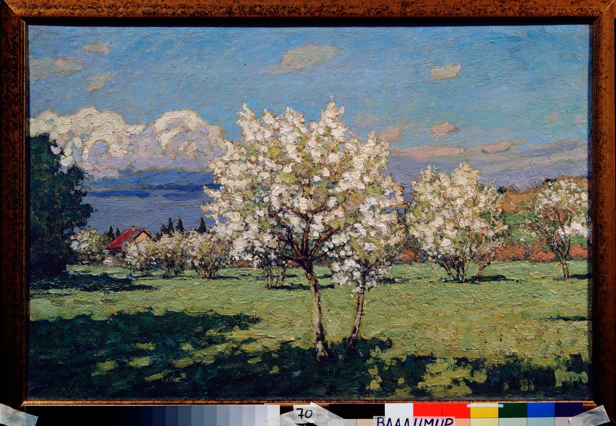 Die blühenden Kirschbäume. Gemälde von Pyotr Ivanovich Petrovichev (1874-1947) von Petr Ivanovic Petrovichev