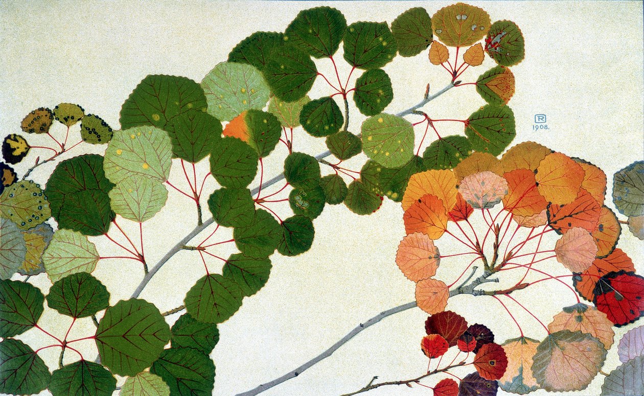 Feuilles d