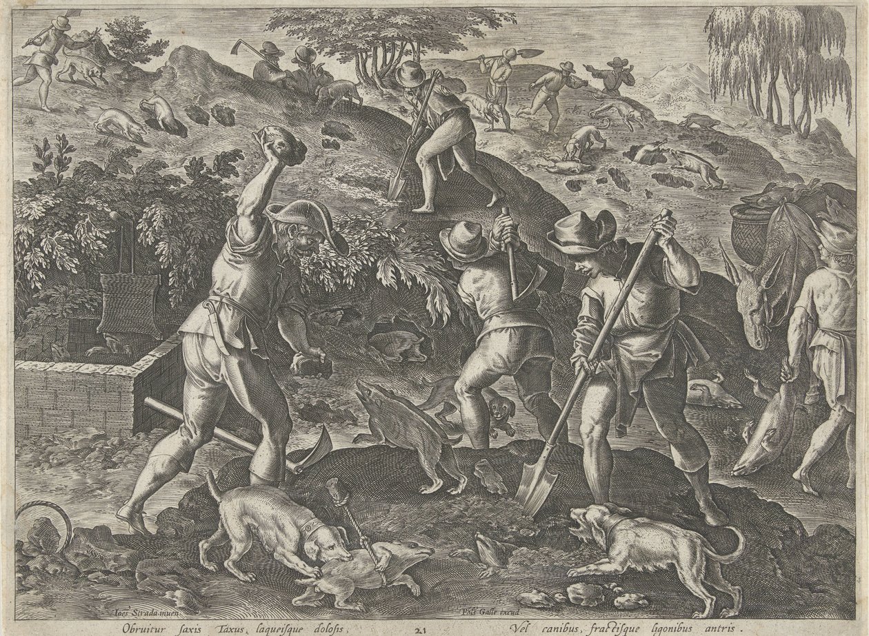 Dachsjagd von Philips Galle