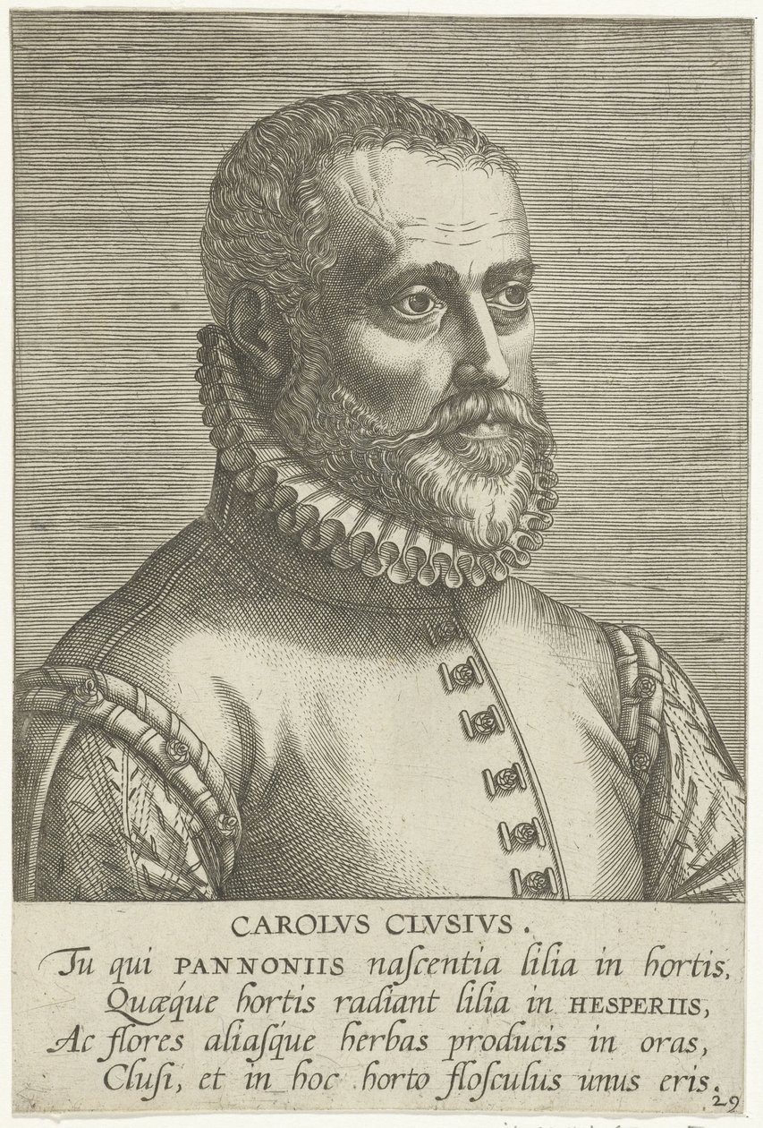 Porträt von Carolus Clusius von Philips Galle