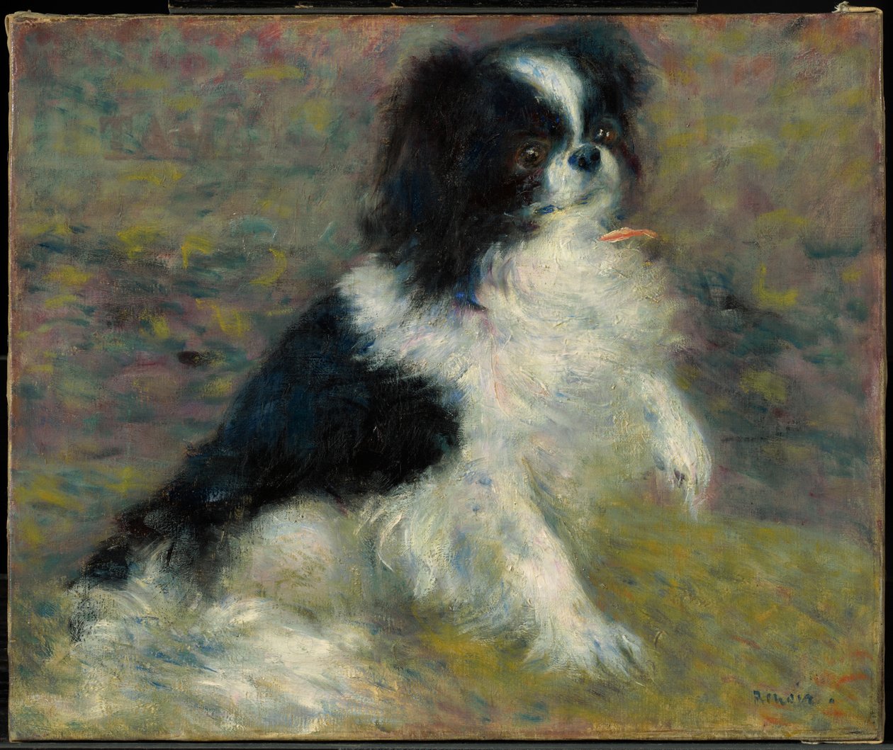 Tama, der japanische Hund von Pierre-Auguste Renoir