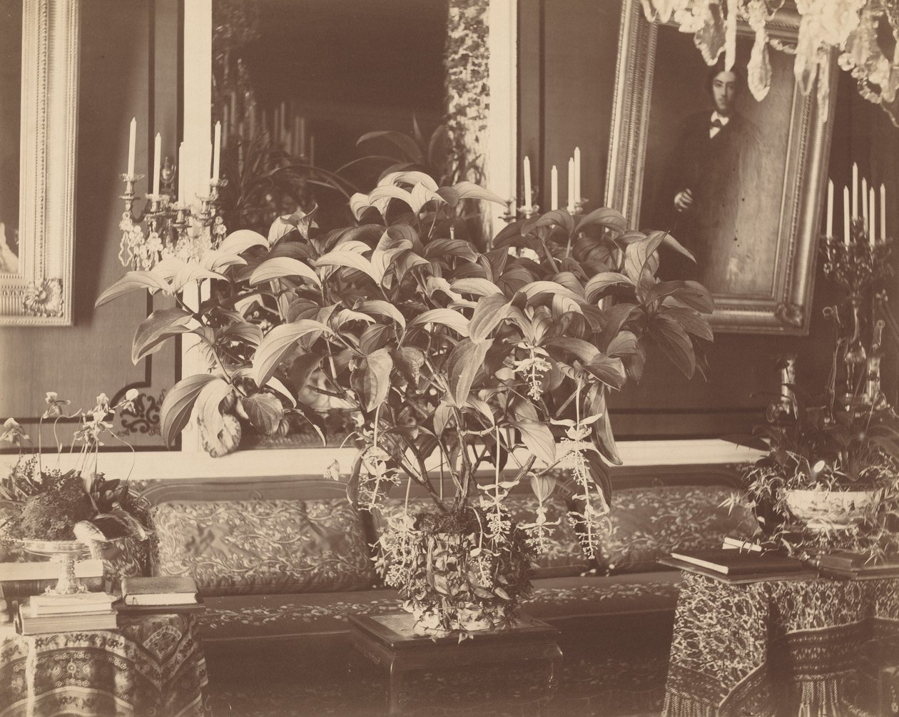 Innenansicht, 1860er von Pierre Ambroise Richebourg