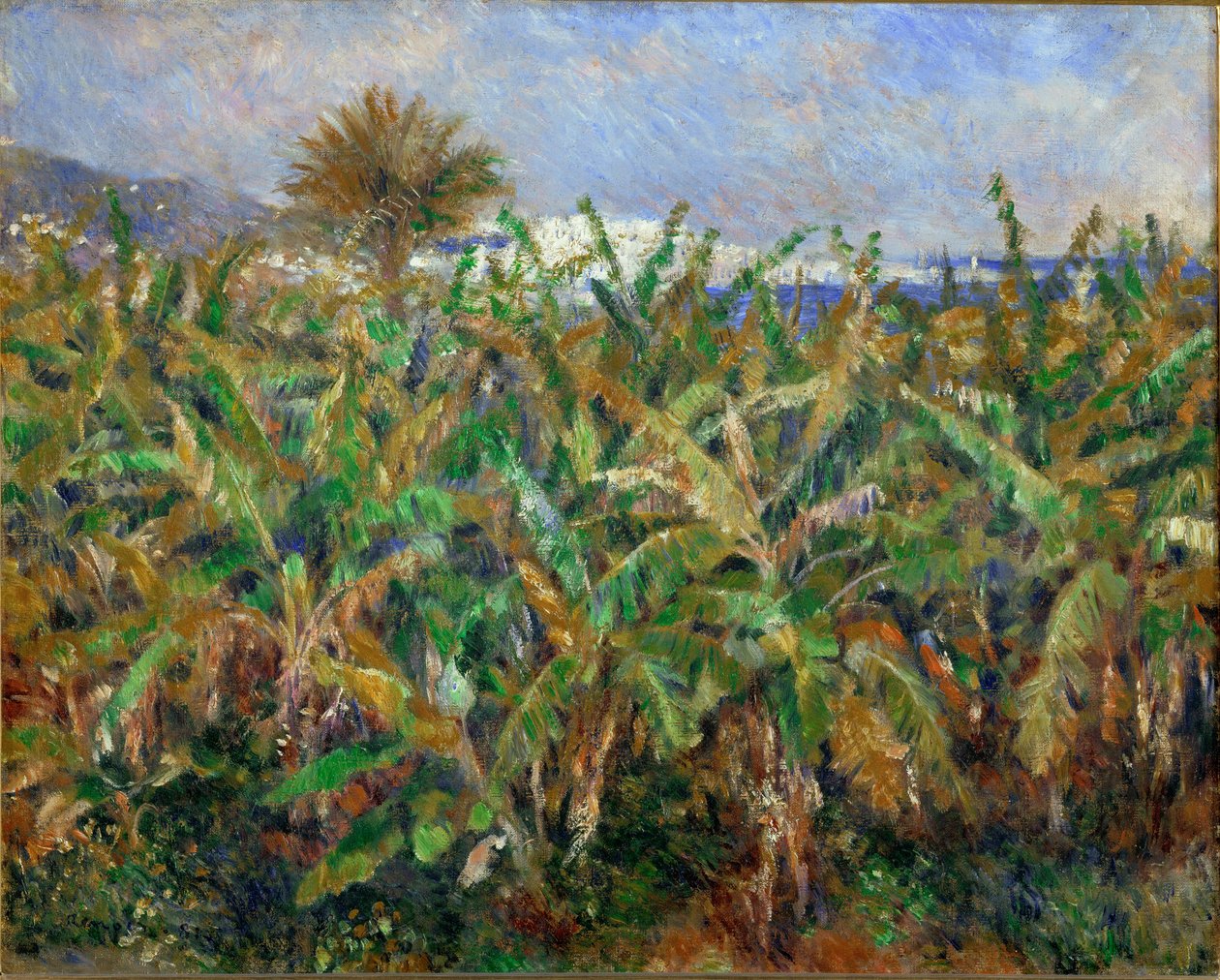 Bananenfeld von Pierre Auguste Renoir