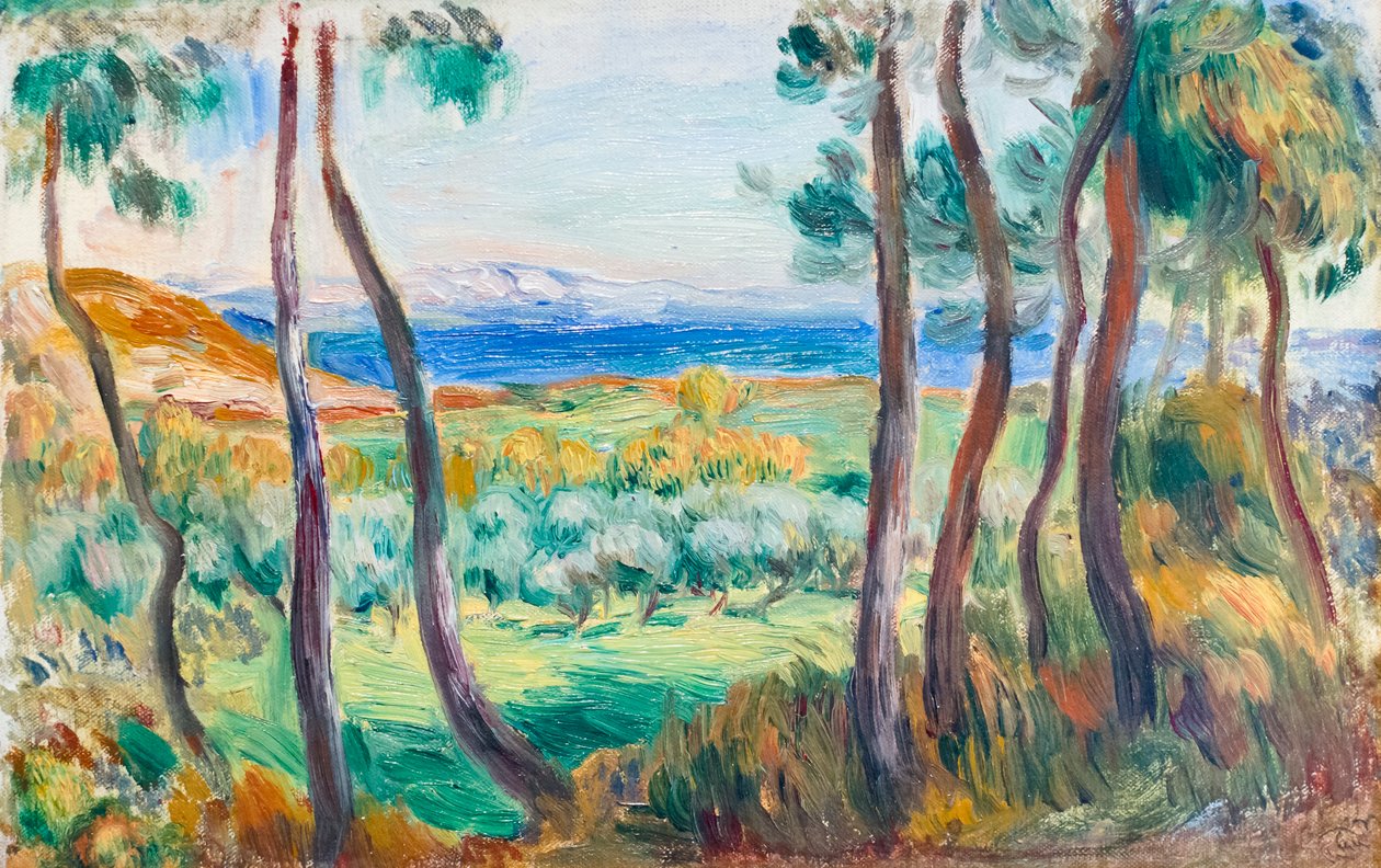 Kiefern bei Cagnes, ca. 1910 von Pierre Auguste Renoir