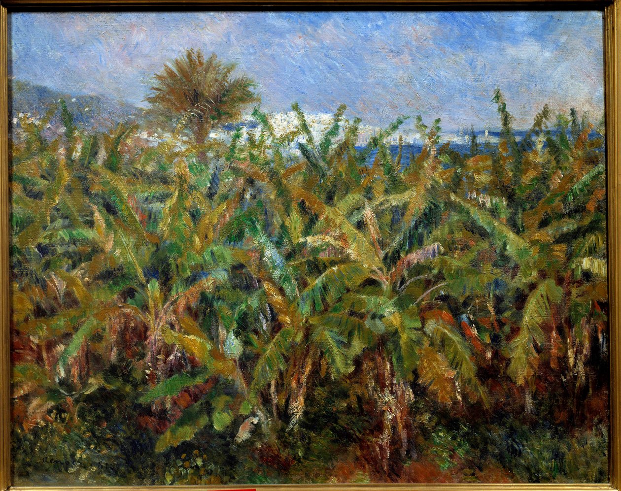 Ein Bananenfeld von Pierre-Auguste Renoir