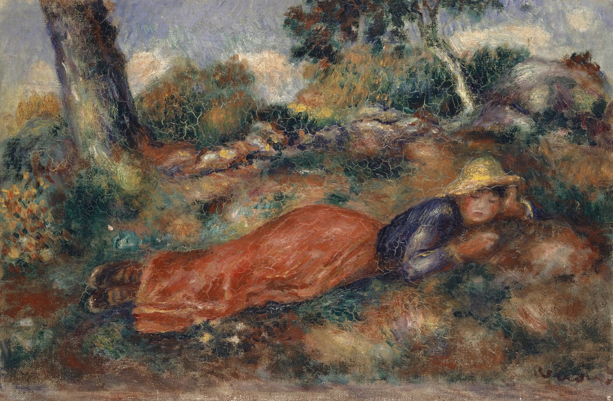 Junge Frau, die im Gras liegt Jeune fille couchée sur l
