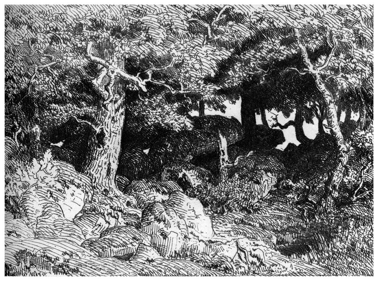 Les Chênes de Roche, um 1832-1860, 1924 von Pierre Etienne Theodore Rousseau