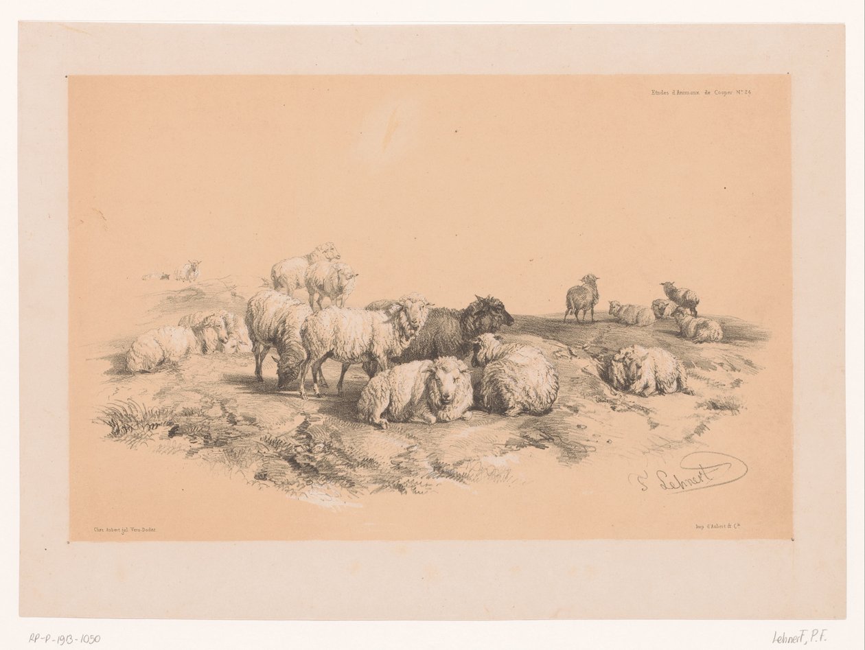 Studie einer Schafherde von Pierre Frédéric Lehnert