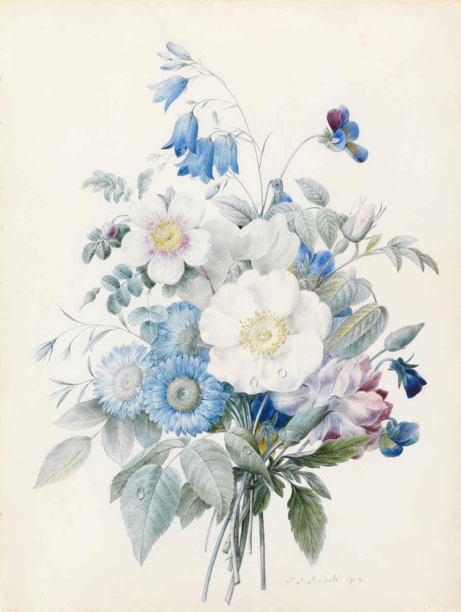 Blaue Astern, Rosa spinosissima (Hybrid), Glockenblume, Veilchen, Nelke und eine Wildrose von Pierre Joseph Redouté