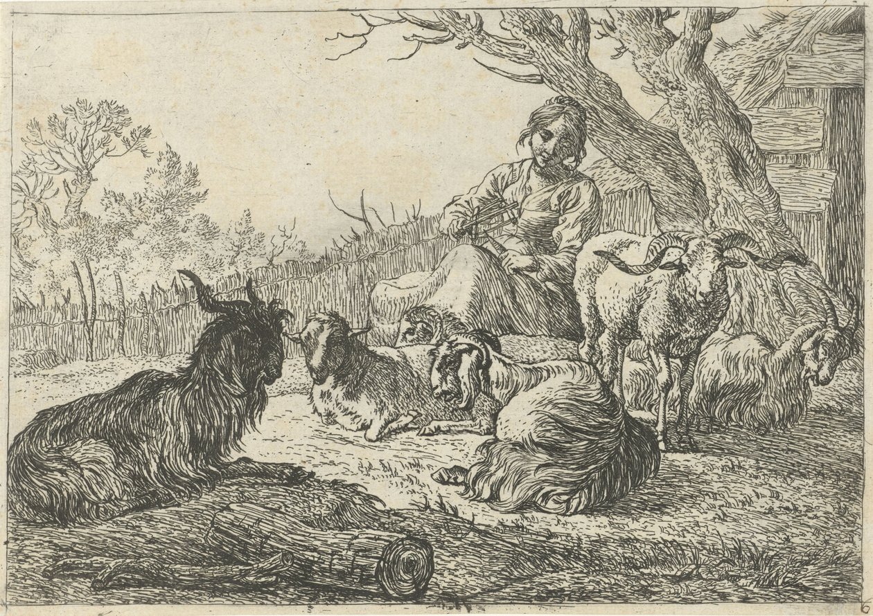 Hirtin inmitten von Ziegen und Schafen Verschiedene Tiere (Serientitel) von Pieter Bodding van Laer