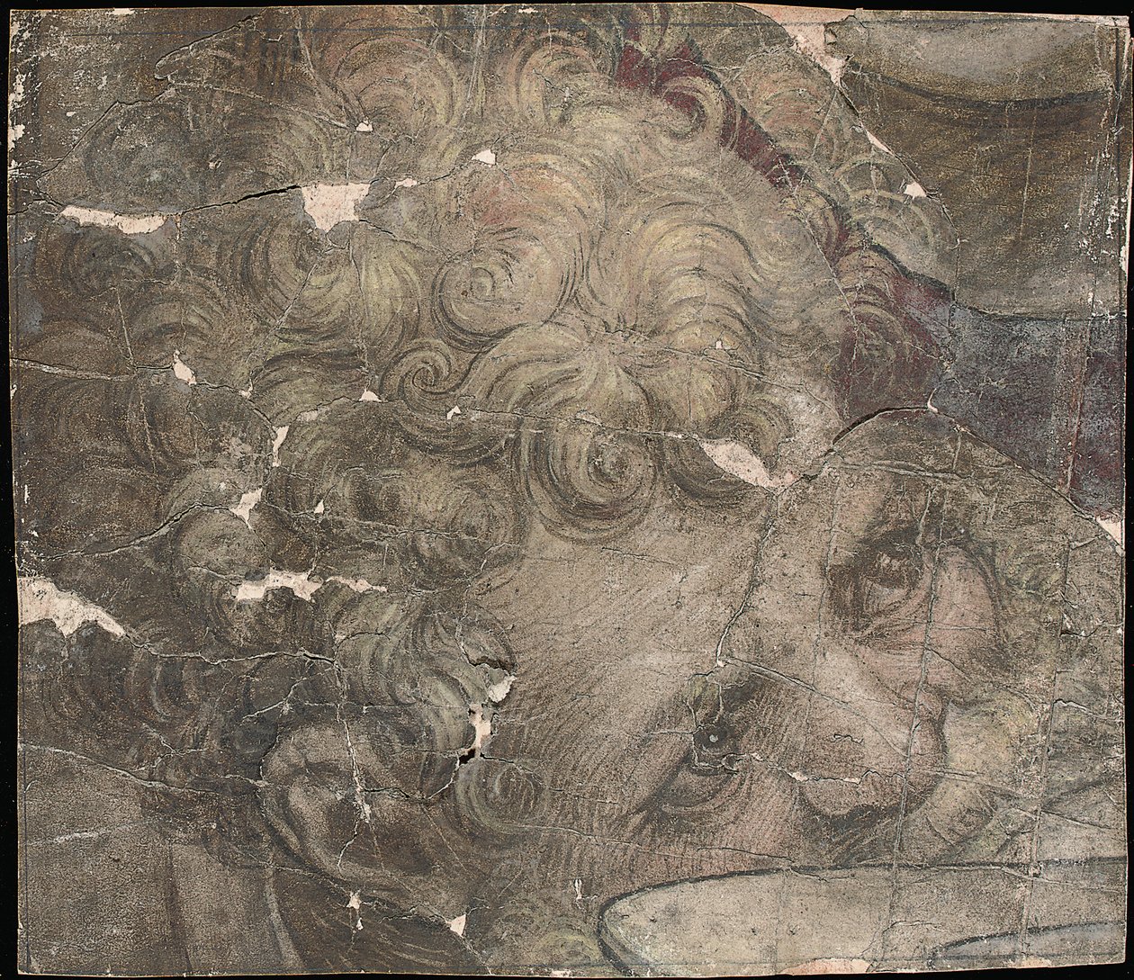 Kopf eines bärtigen Mannes, der nach oben schaut von Pieter Coecke van Aelst