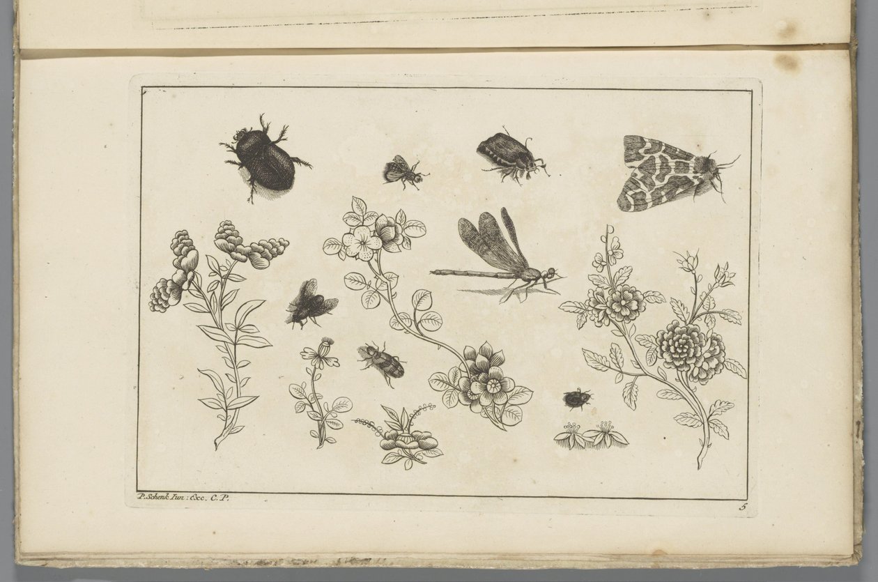 Blumenzweige mit Insekten von Pieter Schenk (II)