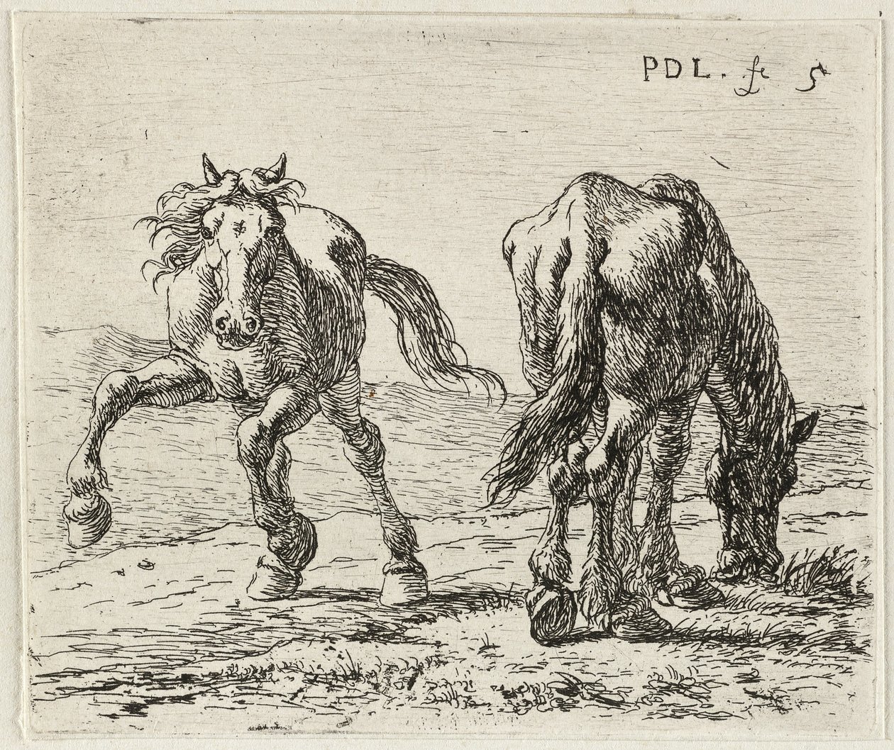 Zwei Pferde auf einer Weide von Pieter van Laer
