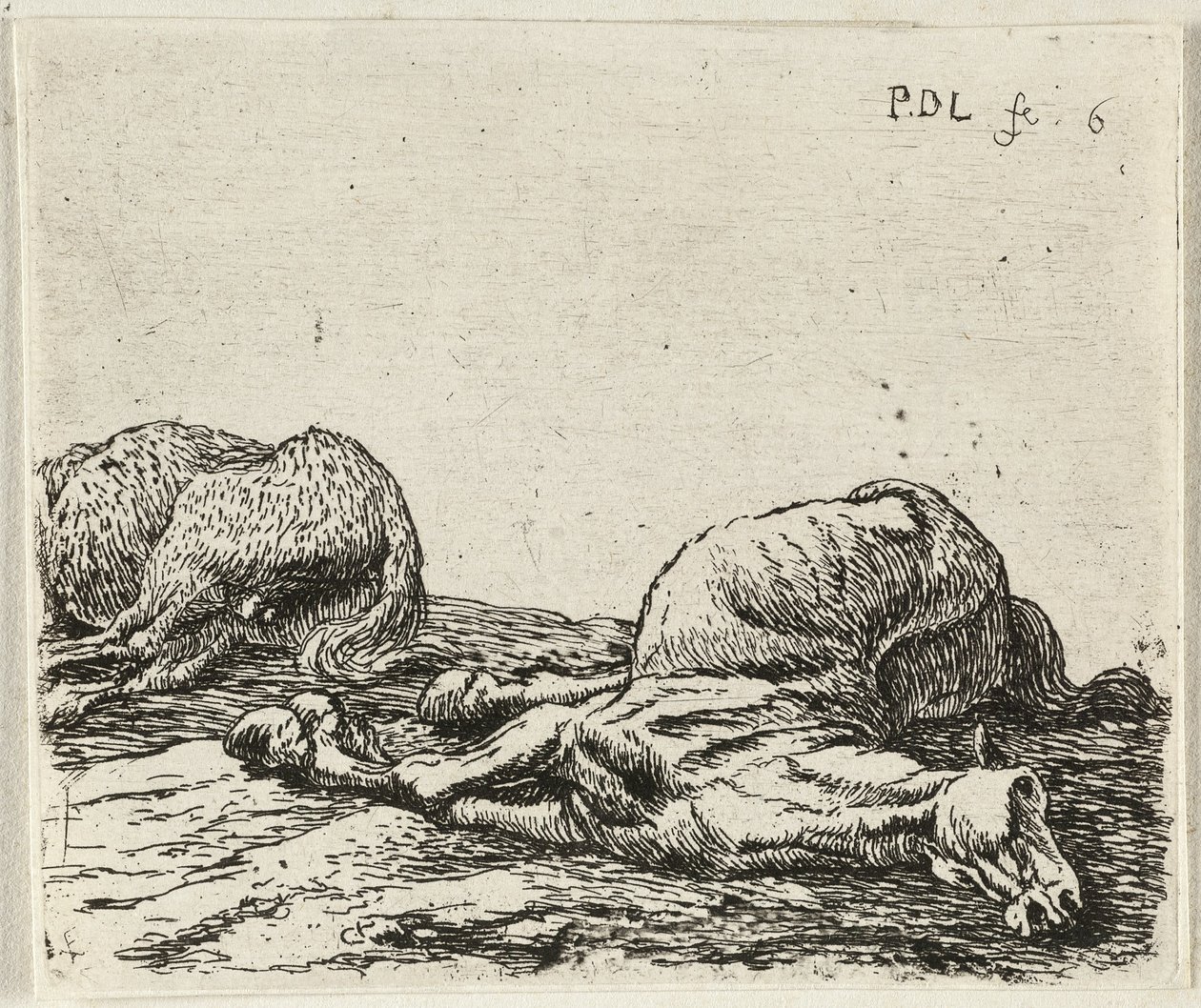 Zwei tote Pferde von Pieter van Laer