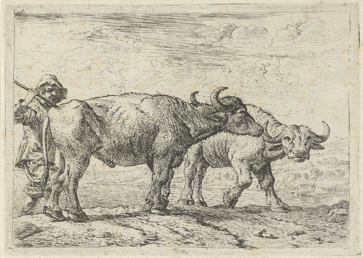 Zwei Büffel und ein Hirte von Pieter van Laer