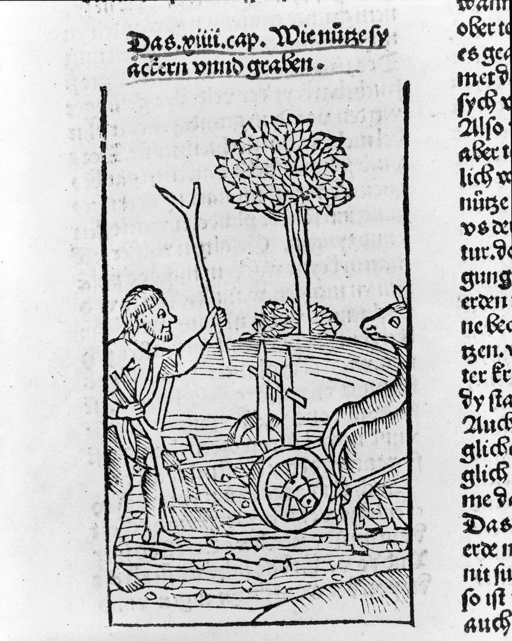 Holzschnitt, der einen Bauern zeigt, der ein Feld pflügt von Pietro de