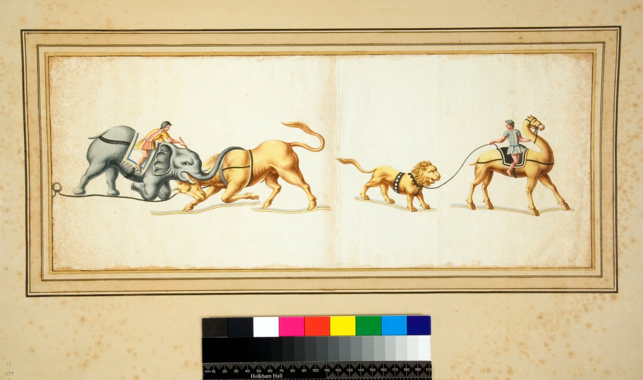 Kopie eines Mosaiks eines Elefanten im Kampf gegen einen Stier von Pietro Santi Bartoli
