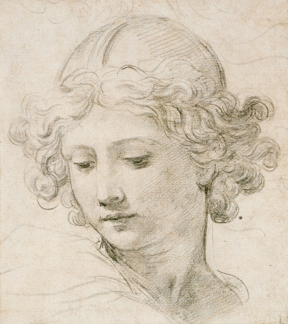Kopf eines Engels, nach links unten blickend von Pietro da Cortona