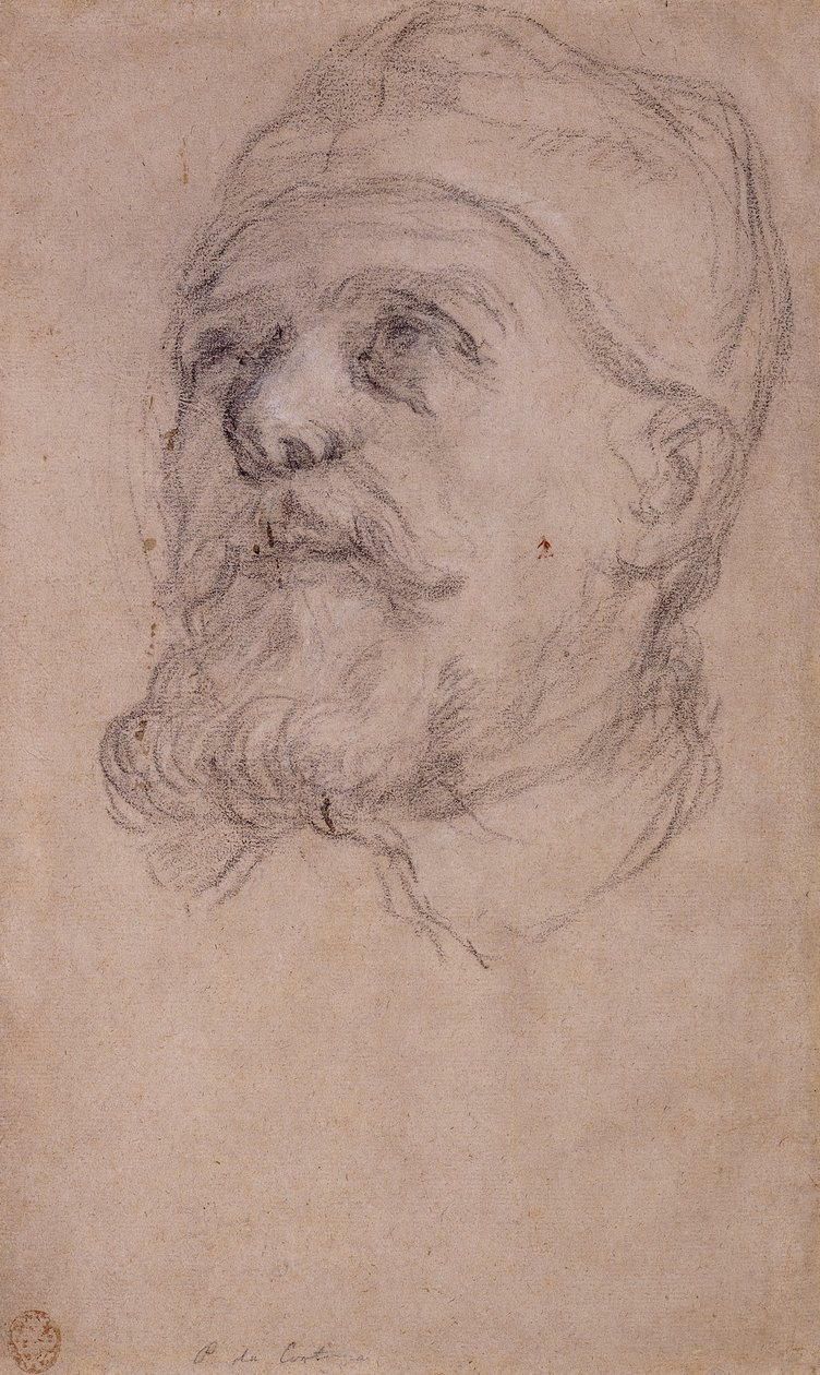 Der Kopf von Papst Urban VIII von Pietro da Cortona