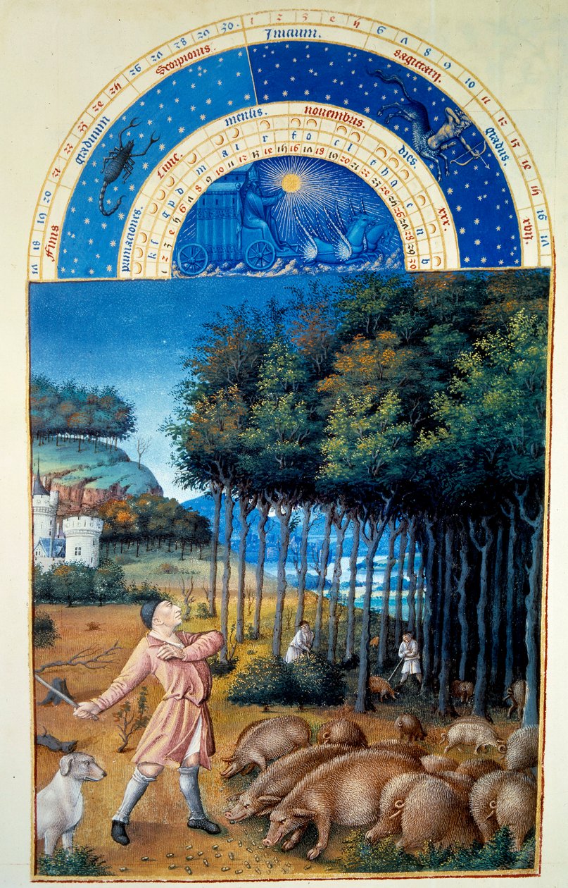 November: die Eichelschlachtung. Miniatur in „Die sehr reichen Stunden des Herzogs von Berry“ von Pol De Limburg (15. Jahrhundert). Chantilly, Musee Conde von Pol de Limbourg