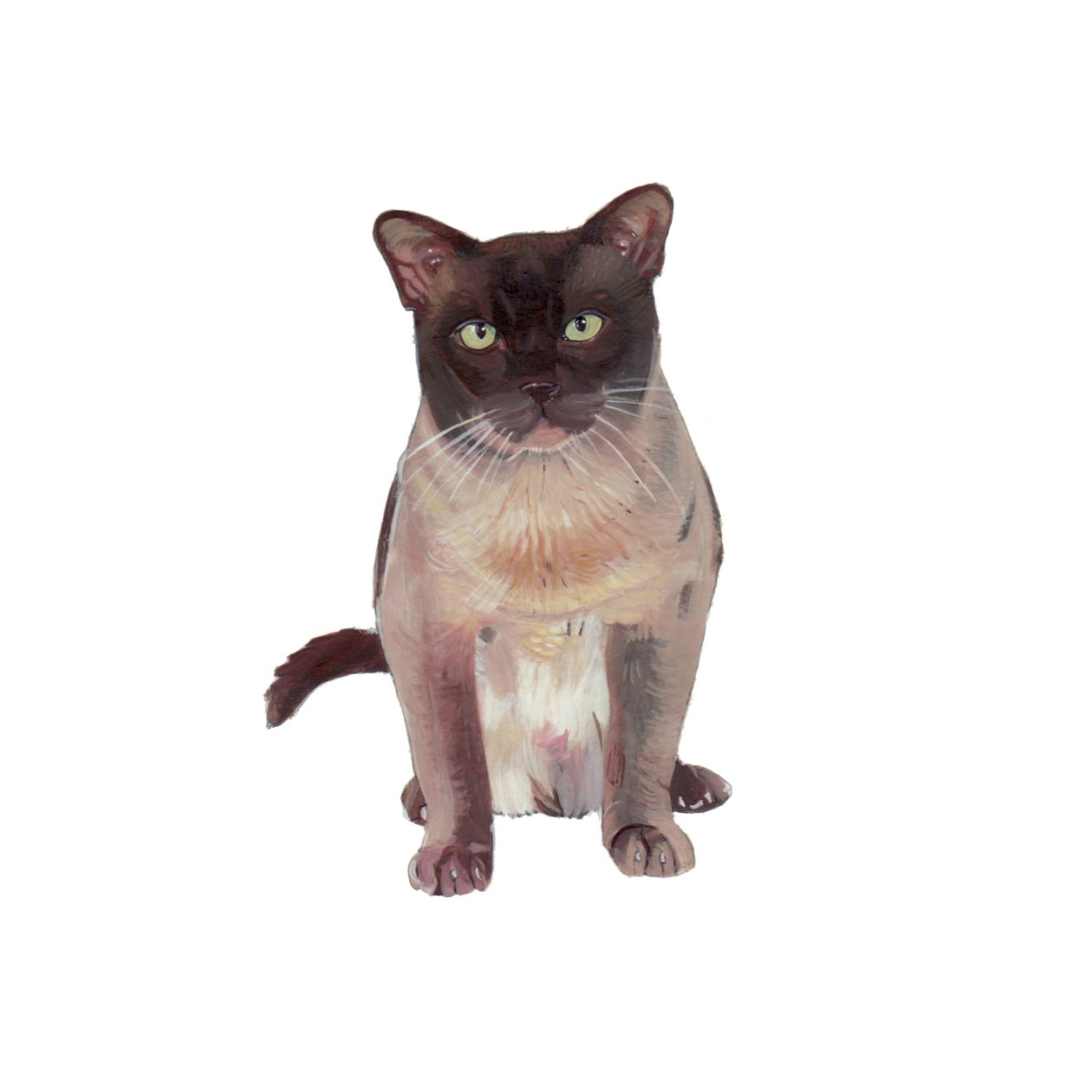 Burmesische Schokolade-Champagner von Polly Horner