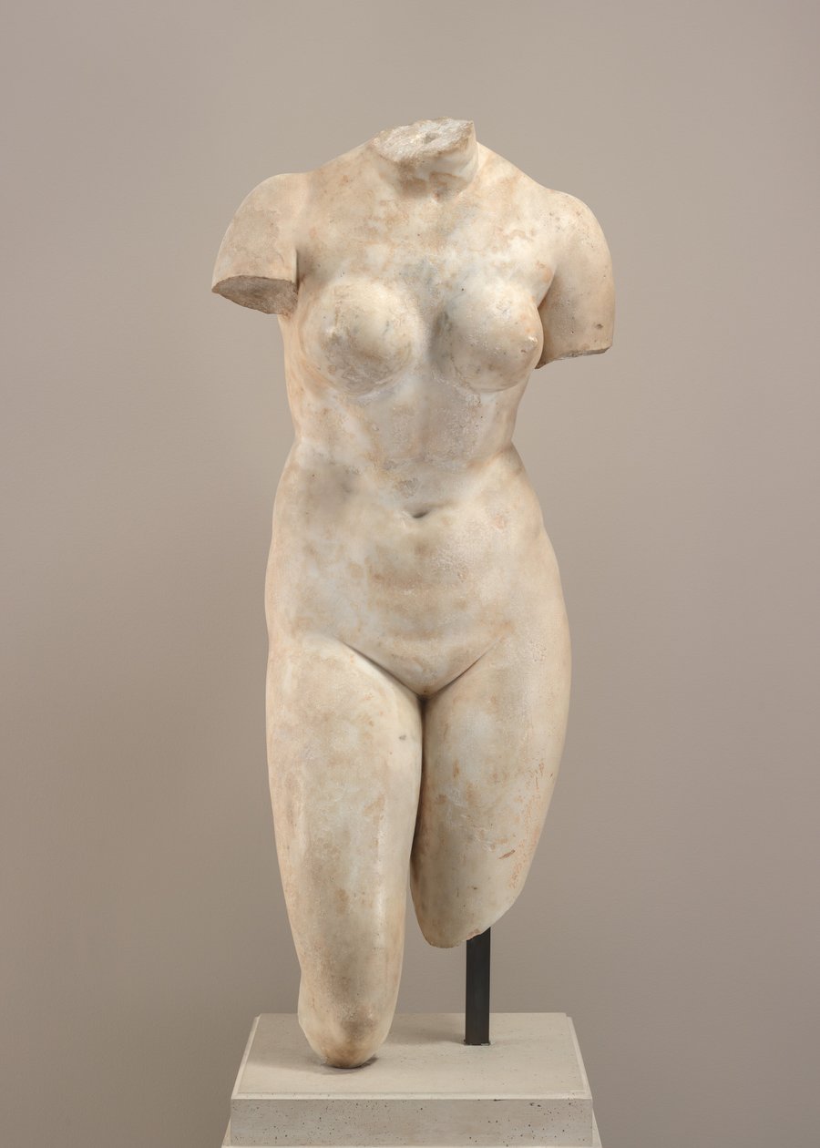 Torso der Aphrodite von Possibly Hellenistic or Roman