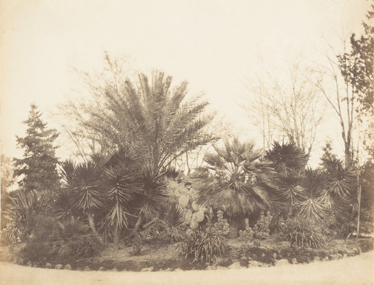 Pincian Garten, Rom, 1853-56 von Possibly by Jane Martha St. John.