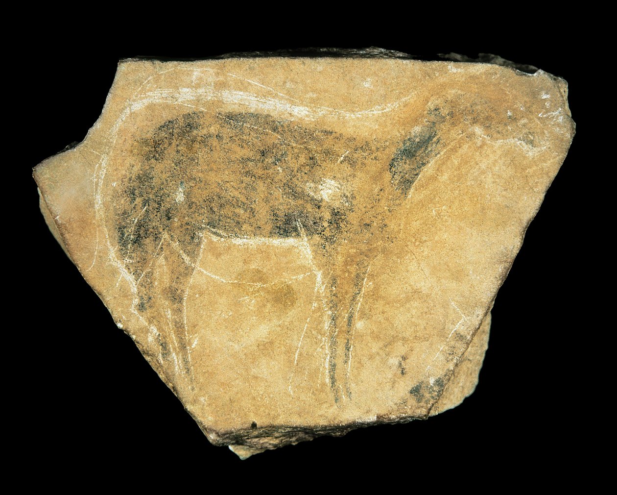 Schwarze Hirschkuh, Parpallo-Höhle, Spanien, Oberes Paläolithikum von Prehistoric Prehistoric