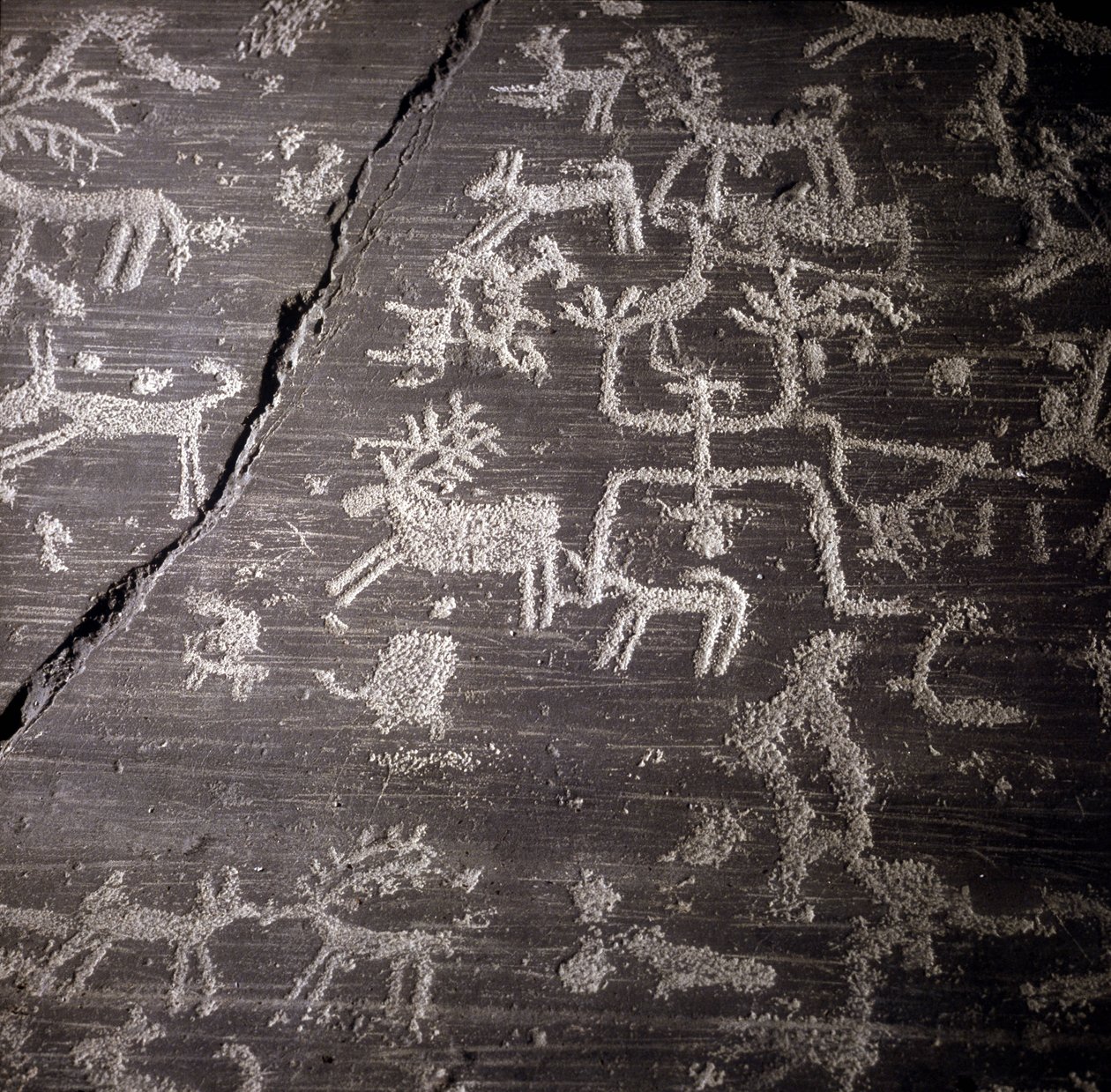 Zivilisation der Camunni, Vorgeschichte, Felskunst: Grabfelsen, Details des großen Felsens von Naquane, in Valcamonica. Museo archeologico di Mailand. von Prehistoric Prehistoric
