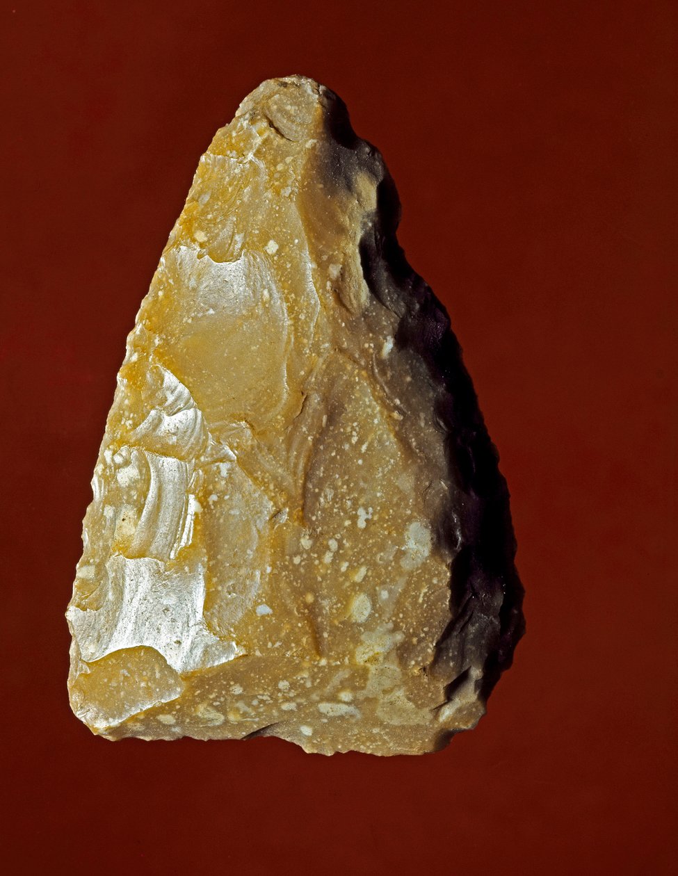 Vorgeschichte: Lithisches Werkzeug der Campignana-Kultur, Gargano, Italien. Chalkolithikum. Verona, Museo Civico di Storia Naturale, Italien von Prehistoric Prehistoric