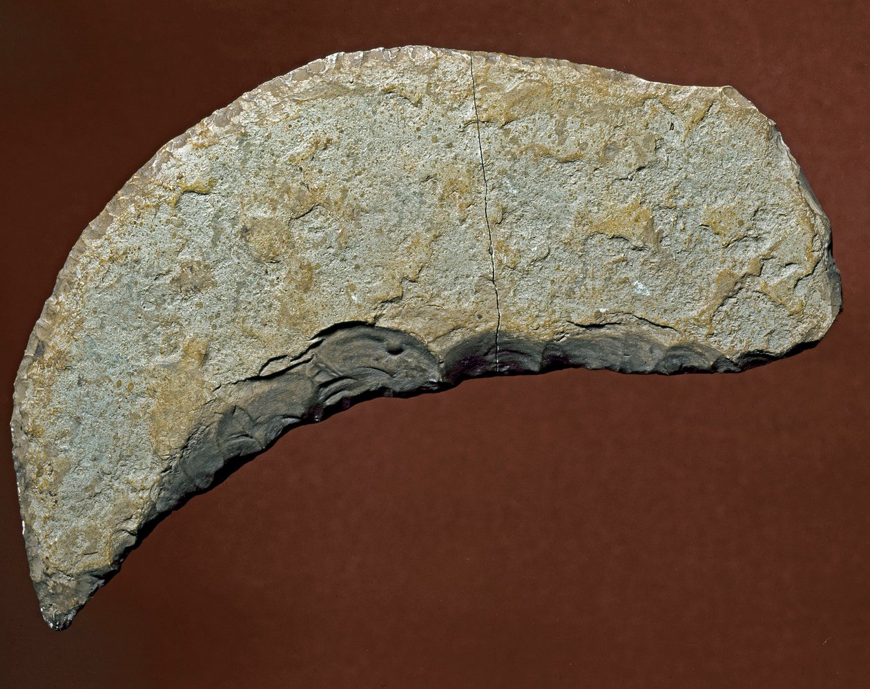 Prähistorisch: Chopper-Werkzeug aus Kjokkenmoddinger, Dänemark. Paläolithikum. Verona, Museo Civico di Storia Naturale, Italien von Prehistoric Prehistoric
