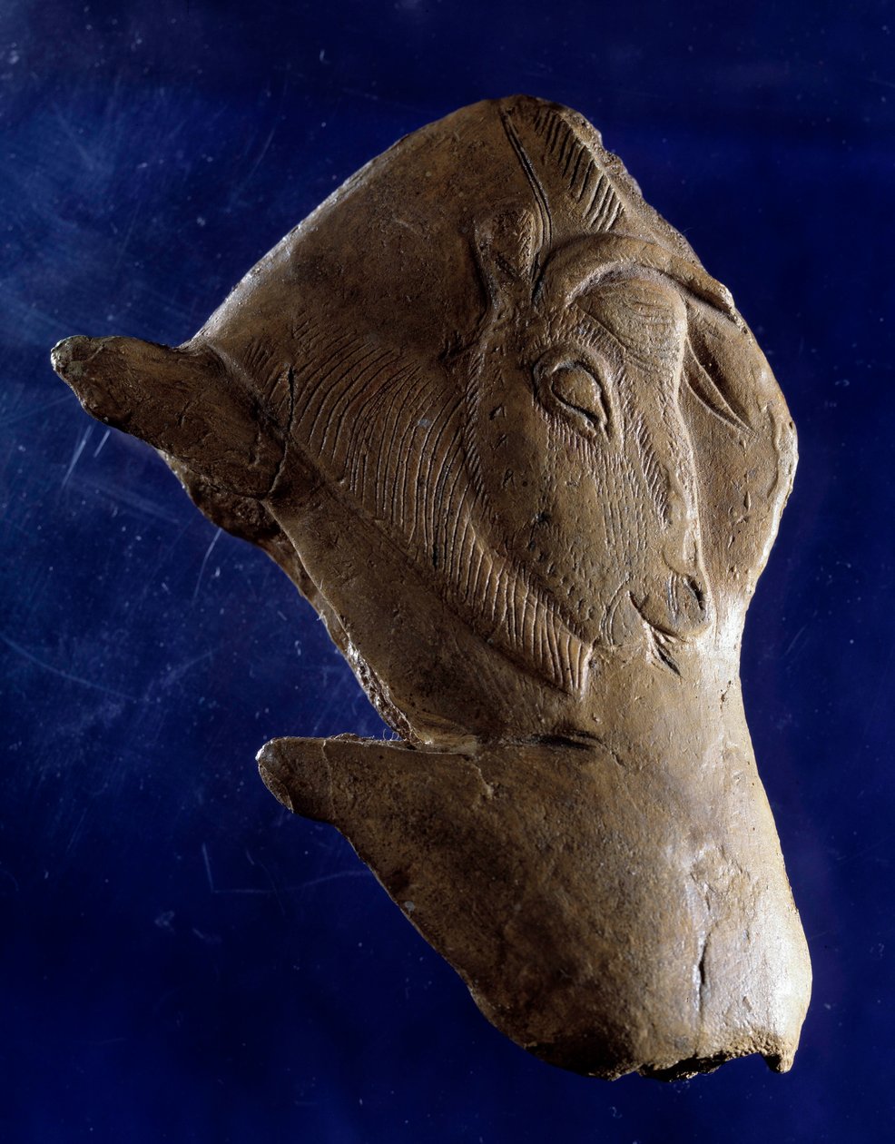 Prähistorische Kunst (Oberes Magdalénien): „Bison erhebt sich“ von Prehistoric Prehistoric