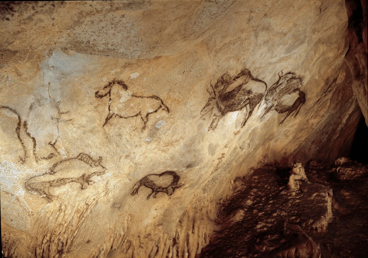 Prähistorie: "Bison und Pferde" Höhlenmalerei des Jungpaläolithikums (Magdalénien) (vor 13000 Jahren) Steinzeit Santimamin-Höhle, Guernica, Spanien - Vorgeschichte: Bison und Pferde - Höhlenmalerei, Jungpaläolithikum (Magdalénien) (vor 13.000 Jahren) Stein von Prehistoric Prehistoric