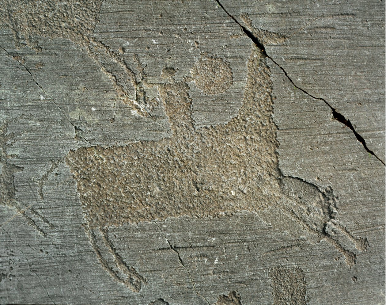 Vorgeschichte, Camunni-Zivilisation, Felskunst: Grabfelsen, der einen Krieger zu Pferd mit einem Schild darstellt. Zeitraum zwischen dem Neolithikum und der Bronzezeit. Capo di Ponte, Nationalpark der Felszeichnungen von Naquane, Valcamonica, Italien von Prehistoric Prehistoric