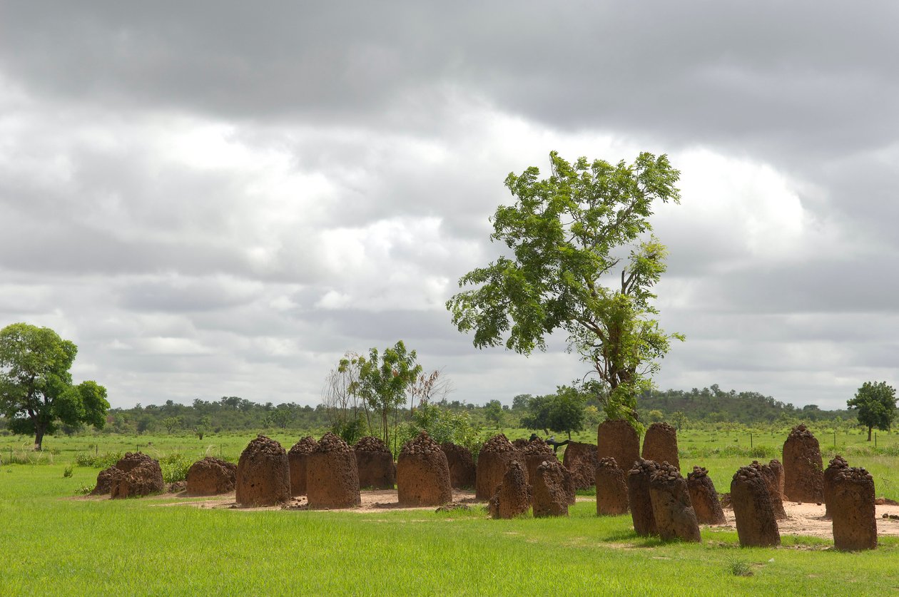 Urgeschichte: Megalithischer Steinkreis von Wassu, Gambia (Foto) von Prehistoric Prehistoric