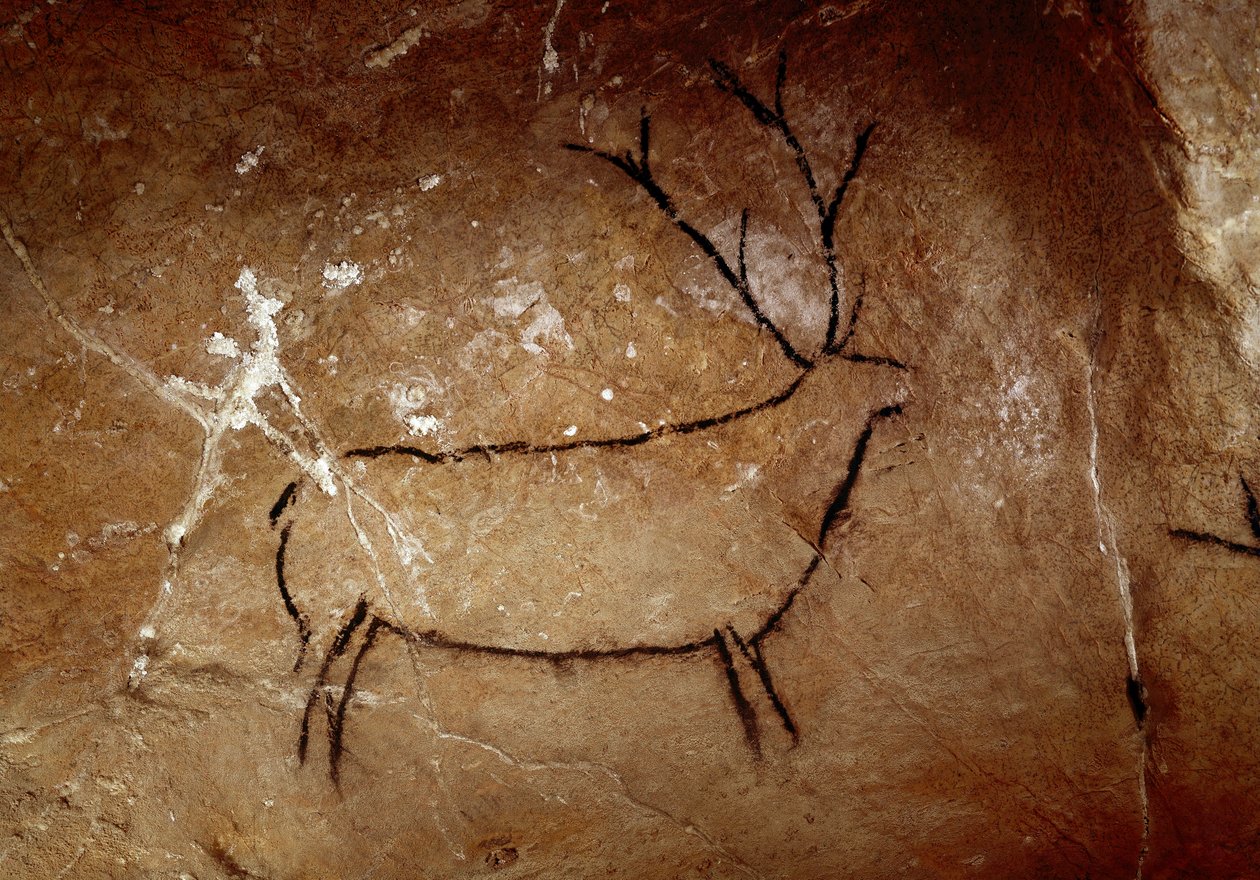 Vorgeschichte: „Ein Hirsch“ Felsmalerei des Oberen Paläolithikums (Magdalénien) (zwischen 16500 und 14000 Jahren) Höhle von Las Chimeneas, Monte Castillo, Spanien von Prehistoric Prehistoric