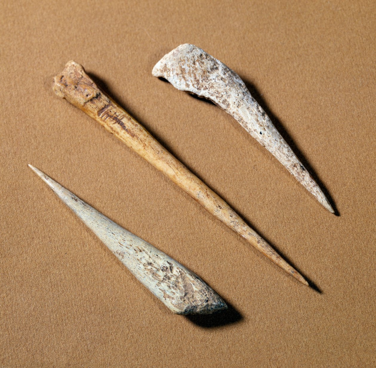 Prähistorie: Knochenangel aus dem Paläolithikum. Saint-Germain-en-Laye, Museum für Antiquitäten von Prehistoric Prehistoric