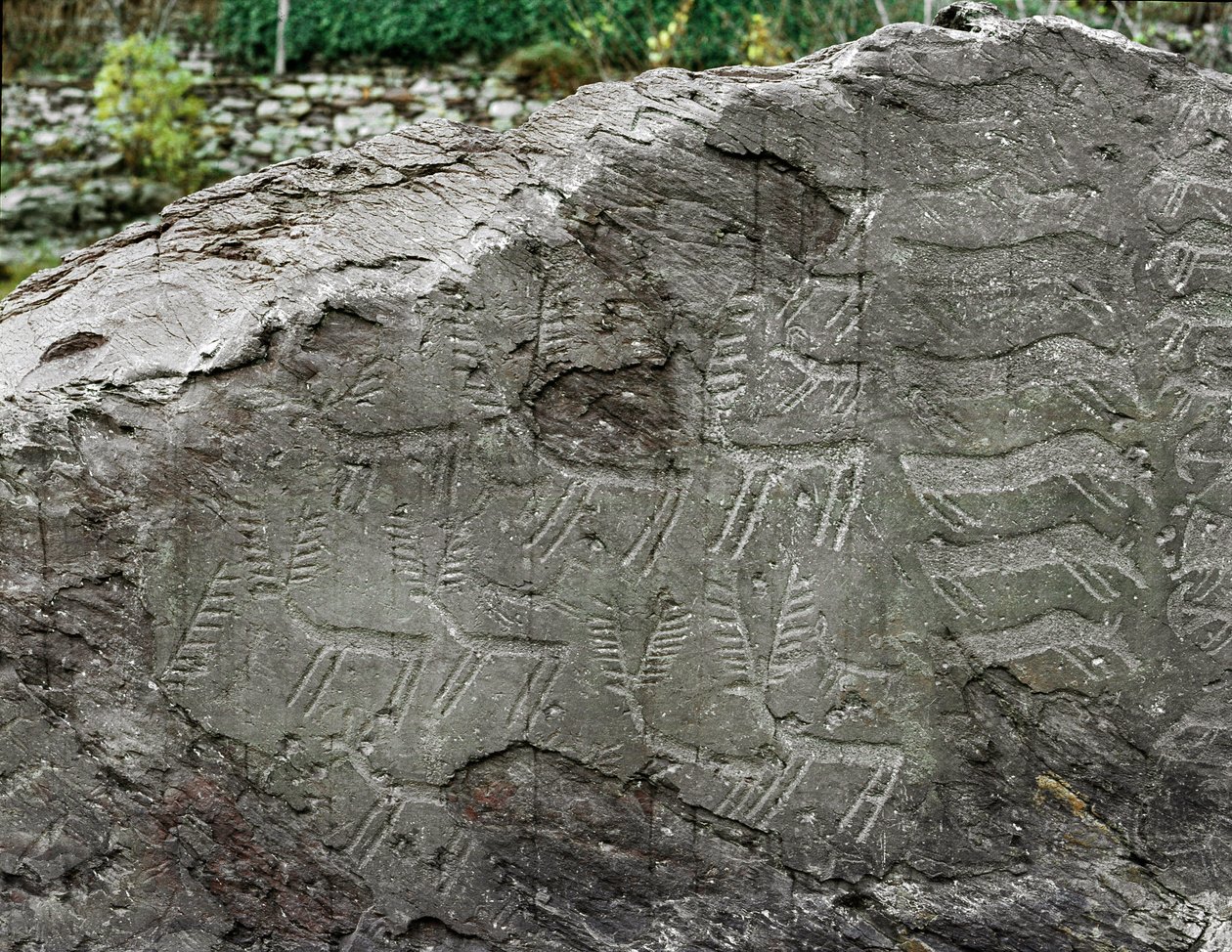 Prähistorie, Felskunst: Grabfelsen mit Darstellungen von Hirschen, Rindern. Kupferzeit. Äneolithische Periode (Chalkolithikum). Roche Nr. 1. Cemmo (Brescia) Parco archeologico nazionale dei Massi di Cemmo, Italien von Prehistoric Prehistoric
