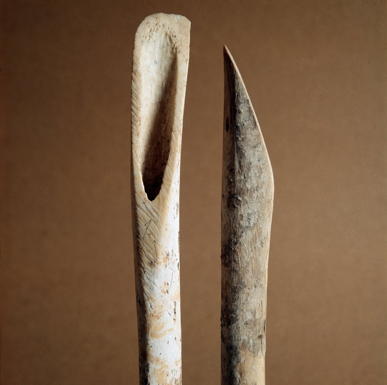 Prähistorisch: Werkzeuge zum Entfernen der Rinde von Schienbeinknochen von Ziegen und Schafen aus der Nekropole von Arene Candide (Finale Ligurien), Ligurien. Mittleres Neolithikum, Steinzeit. Genua, Museo di Archeologia Ligure von Prehistoric Prehistoric