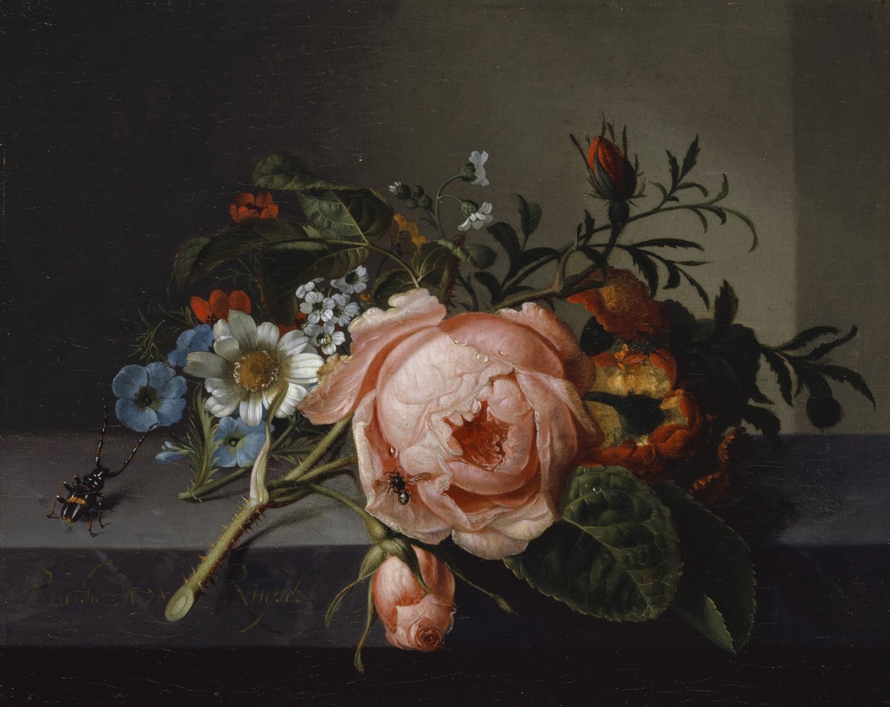 Stillleben mit Rosenast, Käfer und Biene, 1741 von Rachel Ruysch