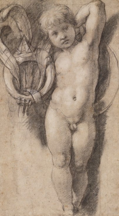 Putto mit Medici-Symbolen von Raffaello Sanzio Raphael