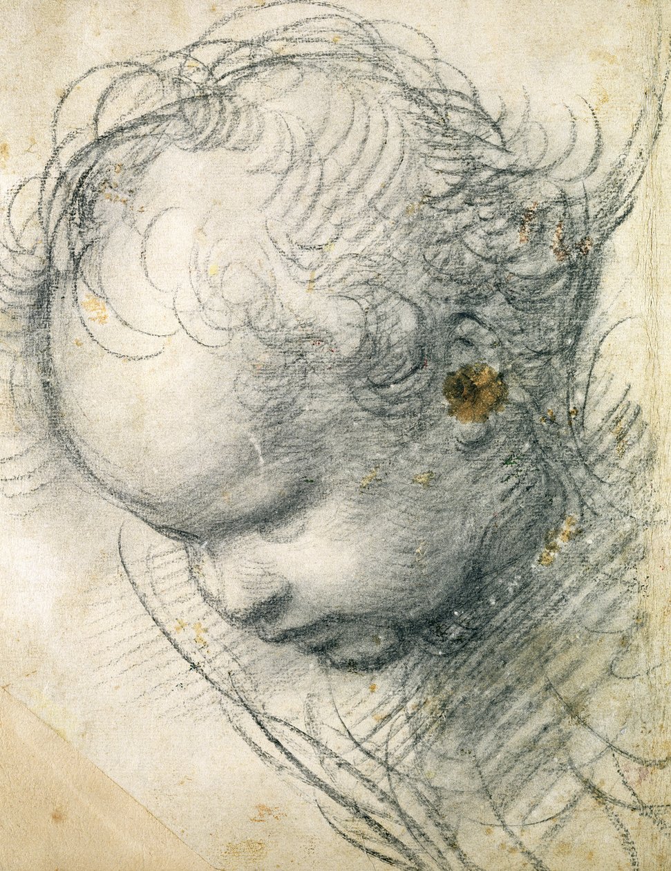 Kopf eines Cherubs von Raffaello Sanzio Raphael