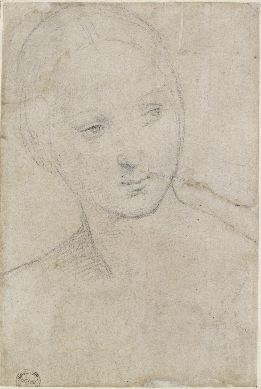 Recto: Studie des Kopfes einer jungen Frau, WA1846.157 von Raffaello Sanzio Raphael