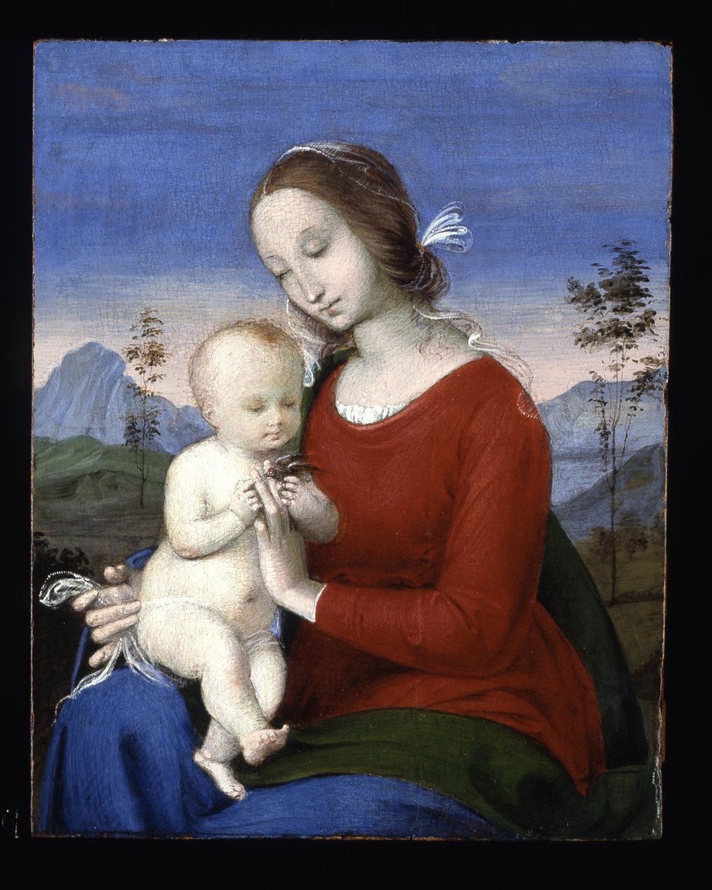 Madonna und Kind mit einem Vogel von Raphael (1483 1520)